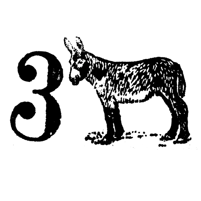 Logo 3Burros